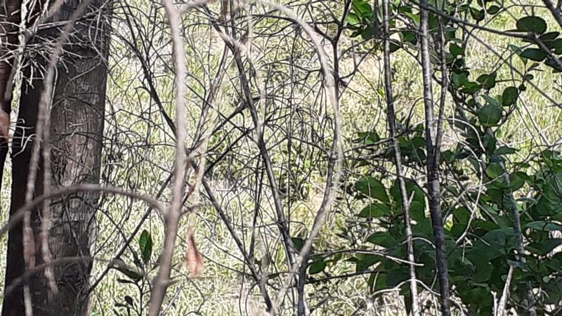 0 Bedroom Property for Sale in Albertinia Western Cape